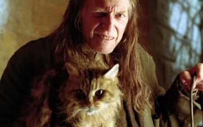 From Annoying to Absolutely Hated 6 Most Disliked Harry Potter Characters Ranked!