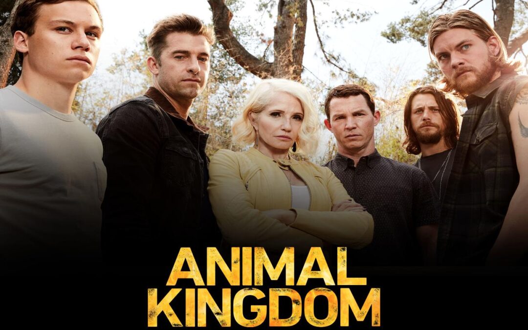 Animal Kingdom [2016]