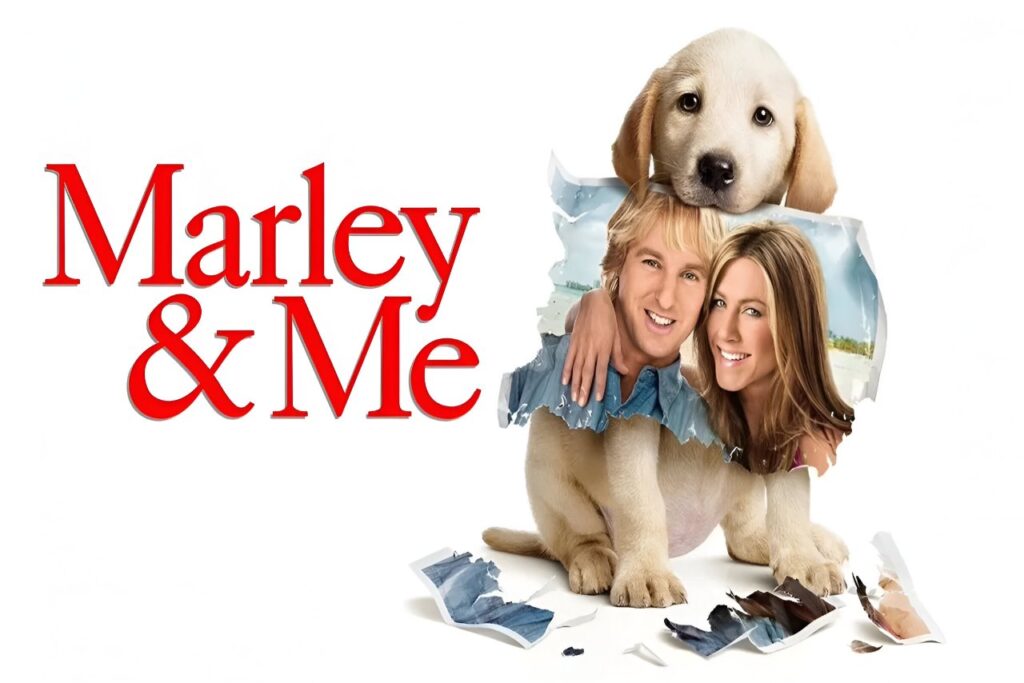 Marley & Me (2008)