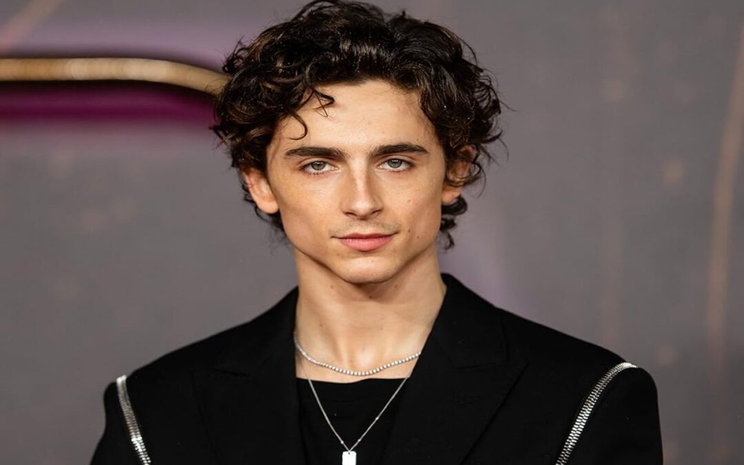 Top 5 Timothee Chalamet Movies To Binge Now