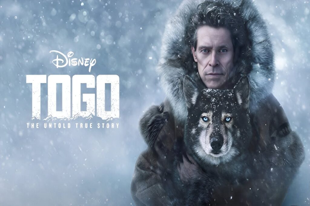 Togo (2019)
