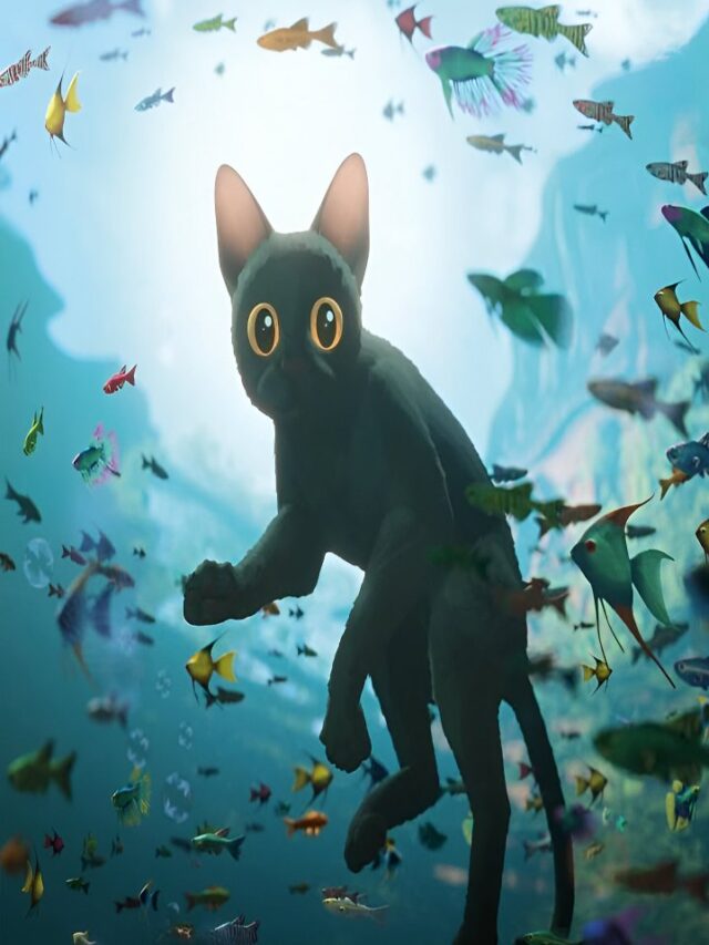 Flow Review: The Best Dialogue-Free Animation?