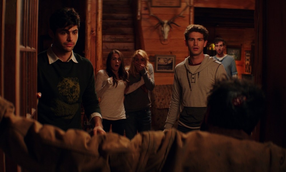 Cabin Fever (2016)